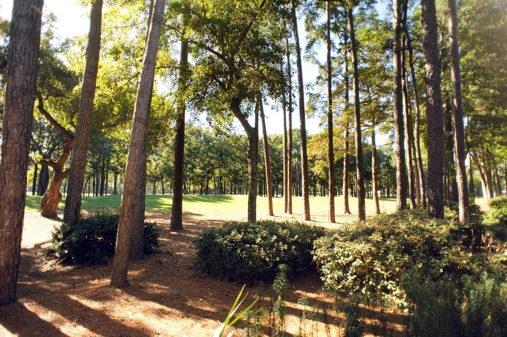 Pawleys Plantation Golf & Country Club Pawleys Island Exterior foto