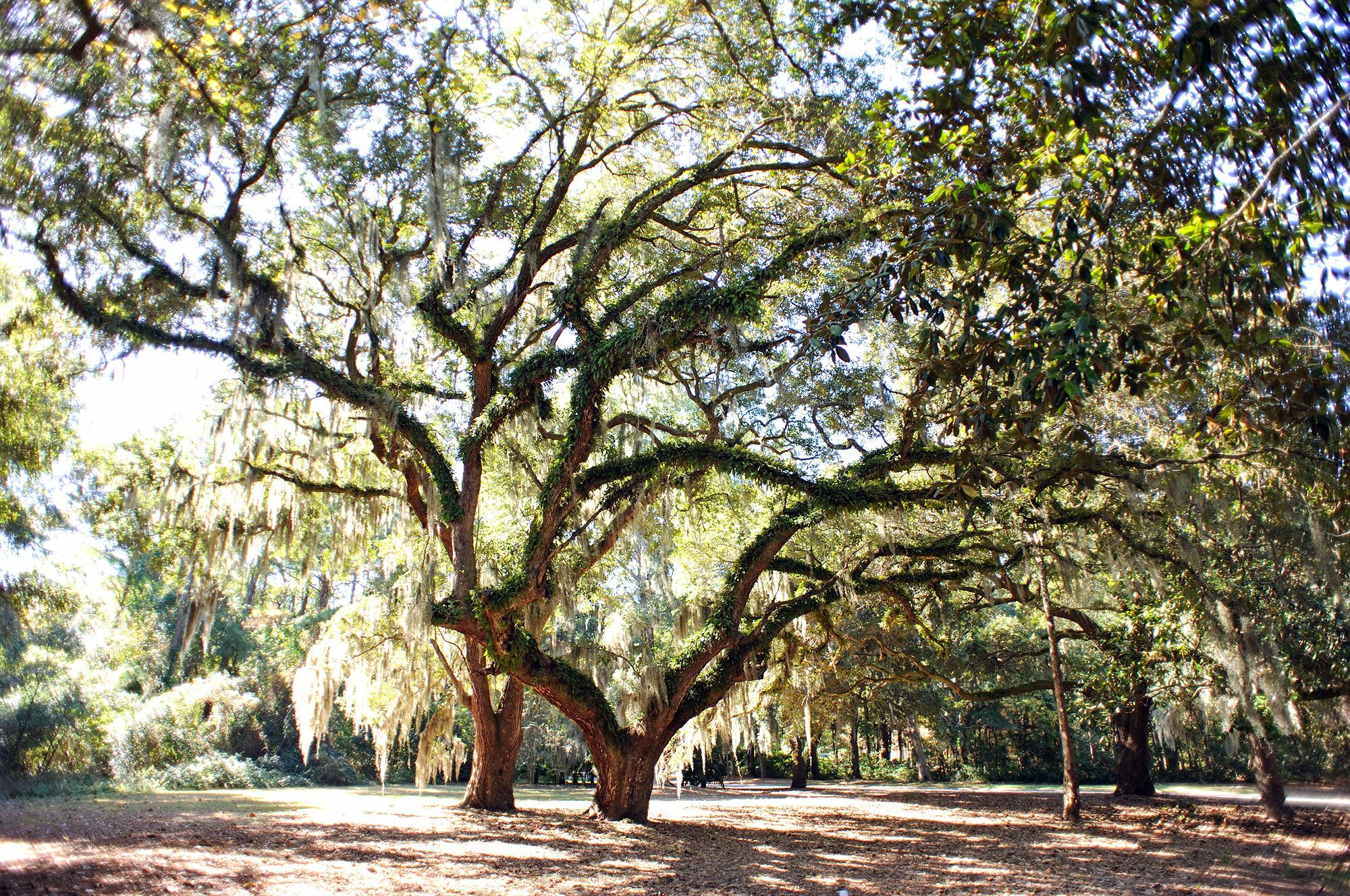 Pawleys Plantation Golf & Country Club Pawleys Island Exterior foto